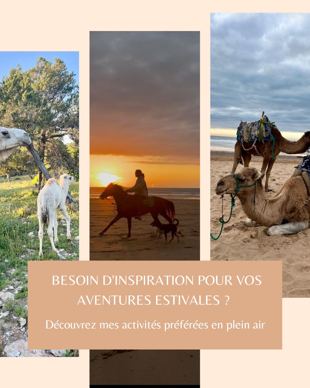Découvrez une expérience unique à Sidi Kaouki