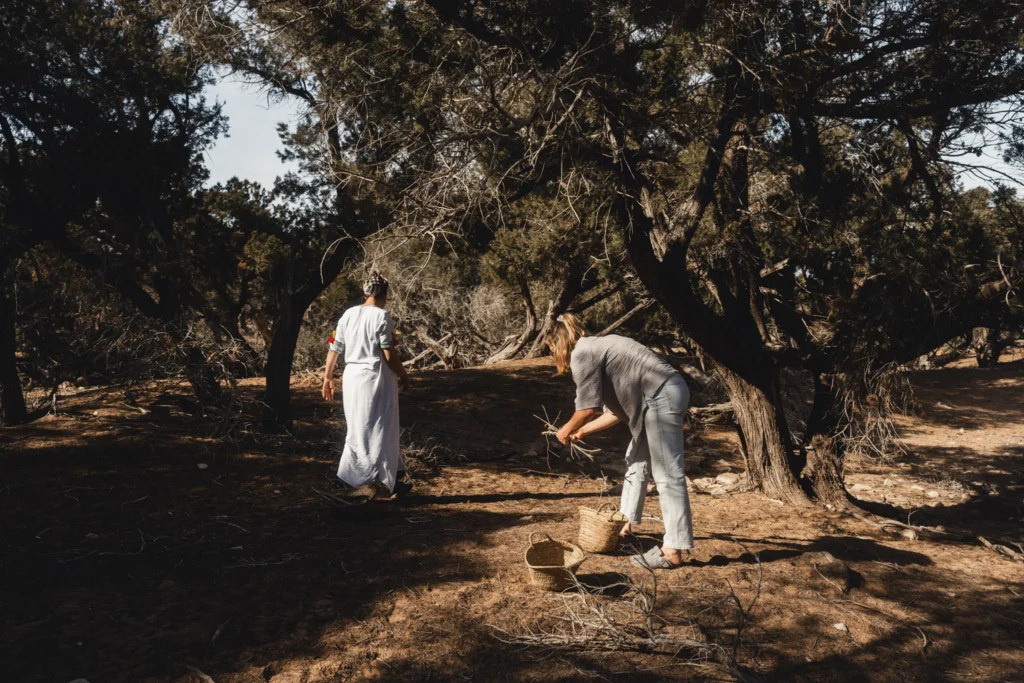 Vivez des expériences authentiques à Essaouira avec Hafida & Family